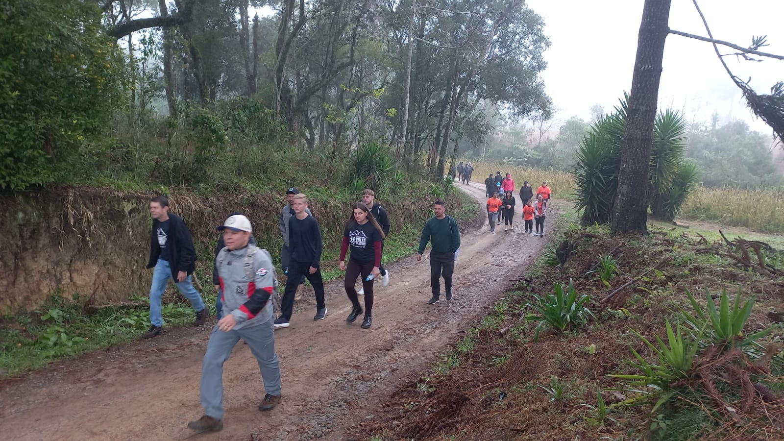 Caminhada da fé reúne fiéis no interior de Irineópolis em momento de devoção e esperança